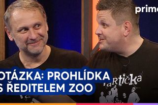 Otázka: Prohlídka s ředitelem zoo | Partička